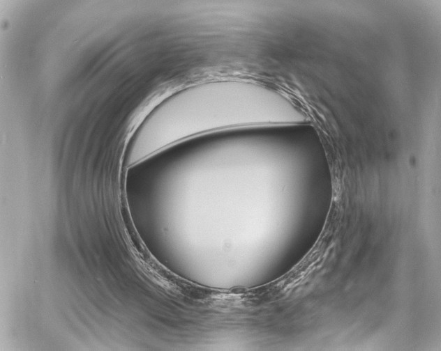 X0000060810052200511101046