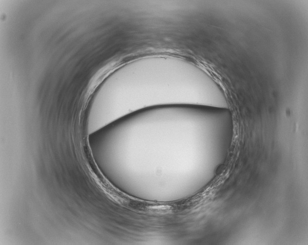 X0000060810053200511101046