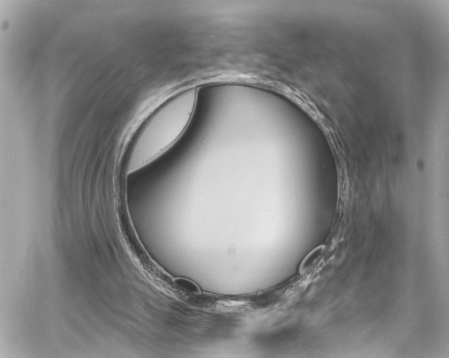 X0000060810055200511101046