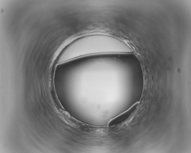 X0000060810056200511101046