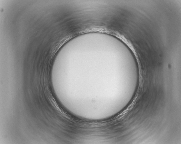 X0000060810057200511101046