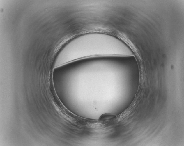 X0000060810058200511101046