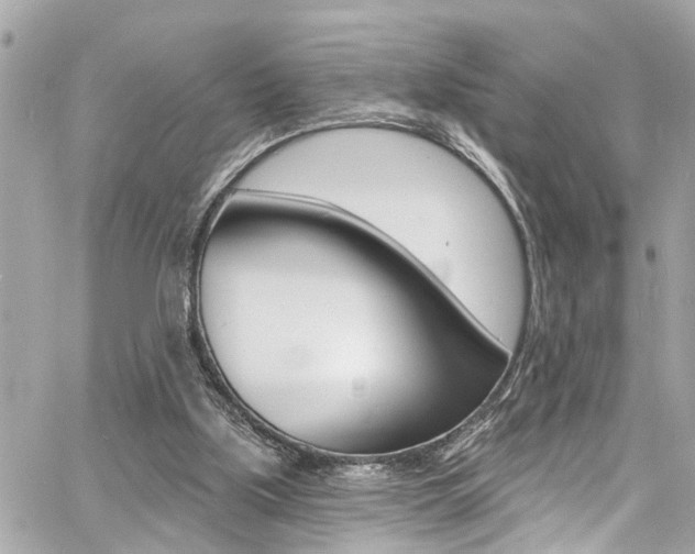 X0000060810059200511101046