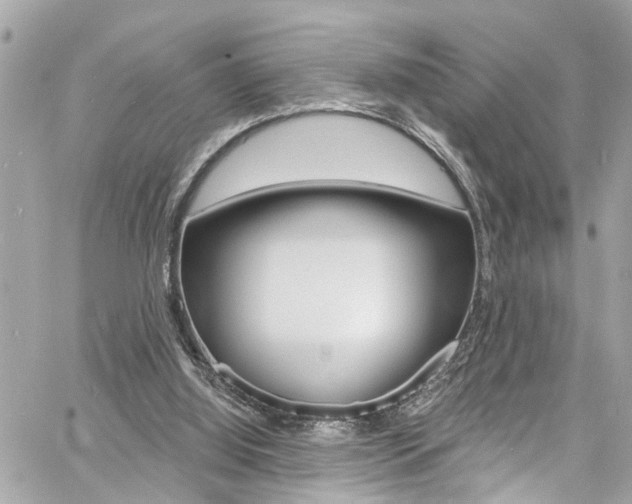 X0000060810060200511101046