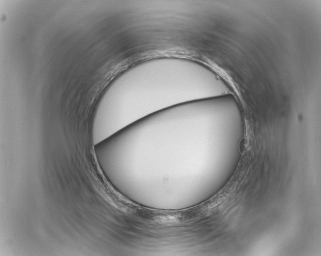 X0000060810061200511101046