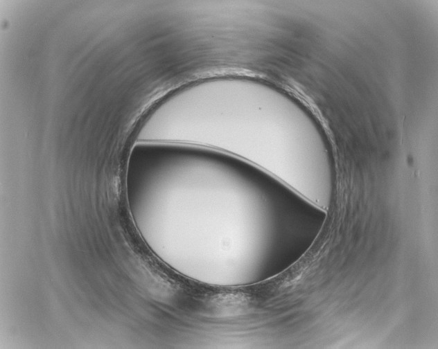 X0000060810063200511101047