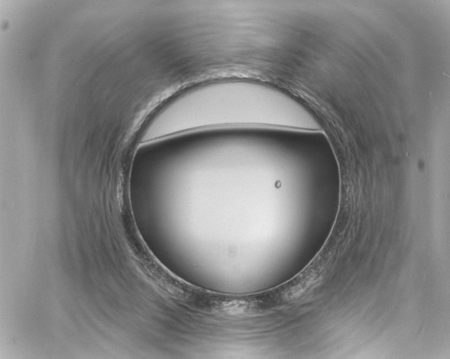 X0000060810064200511101047