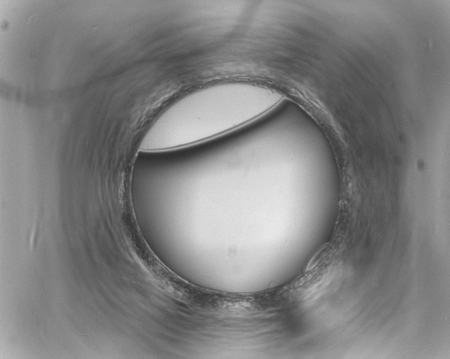 X0000060810066200511101047