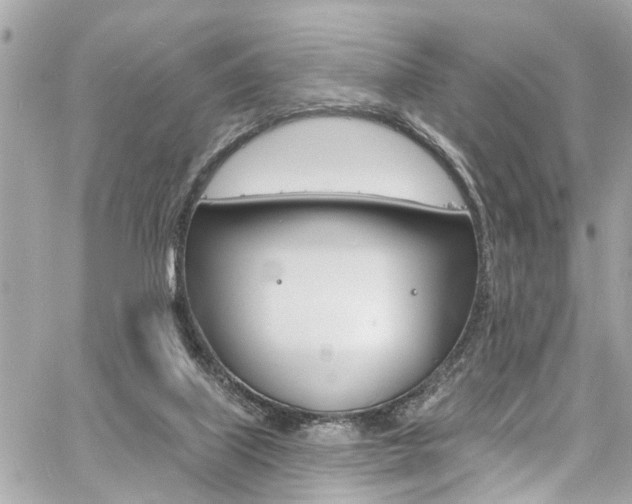 X0000060810067200511101047