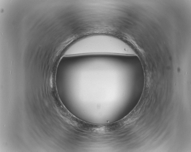 X0000060810068200511101047