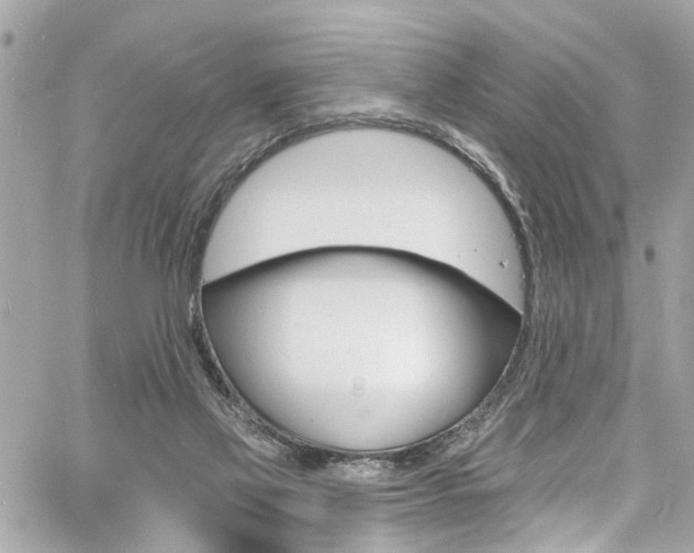 X0000060810069200511101047