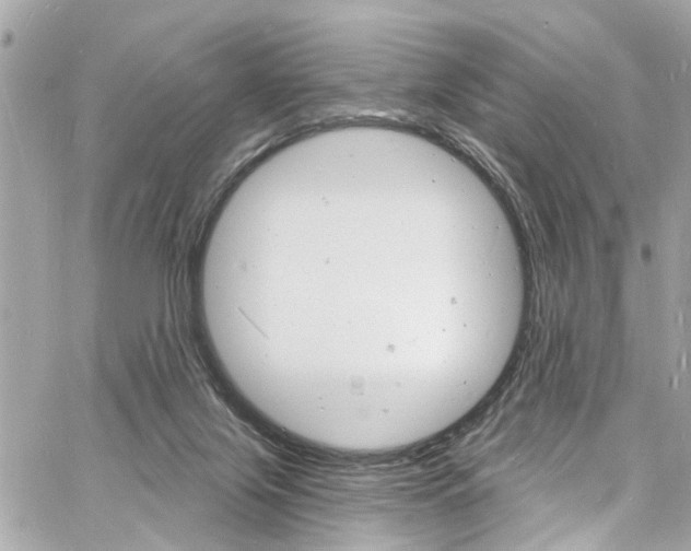 X0000060810071200511101047