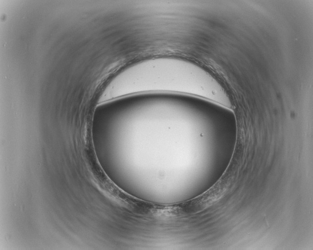 X0000060810072200511101047