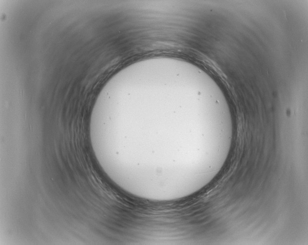 X0000060810073200511101047