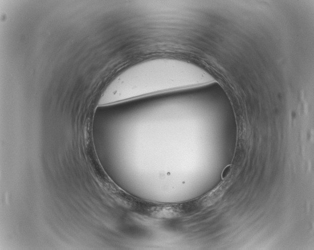 X0000060810074200511101047