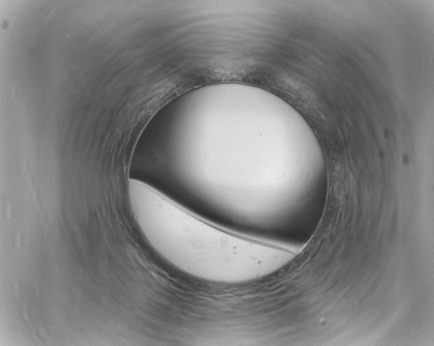 X0000060810075200511101047