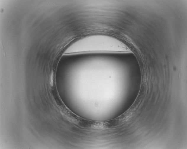 X0000060810076200511101047