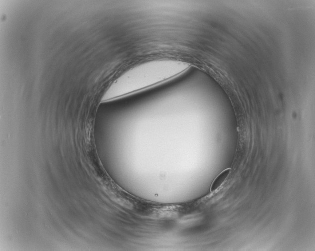 X0000060810078200511101047