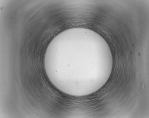 X0000060810079200511101047