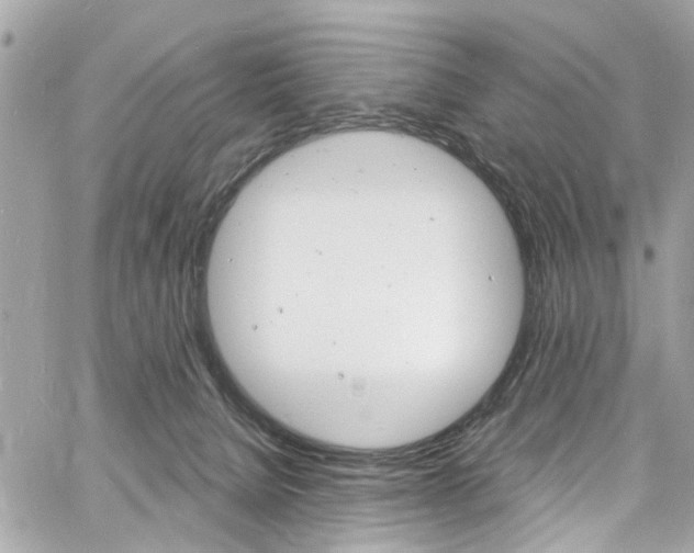 X0000060810080200511101047