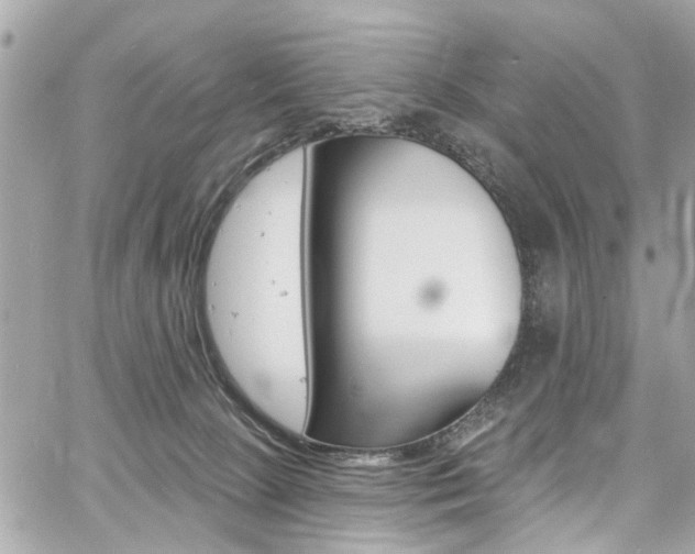 X0000060810081200511101047