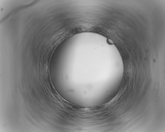 X0000060810082200511101047