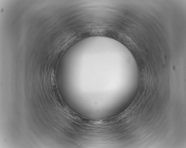 X0000060810083200511101047