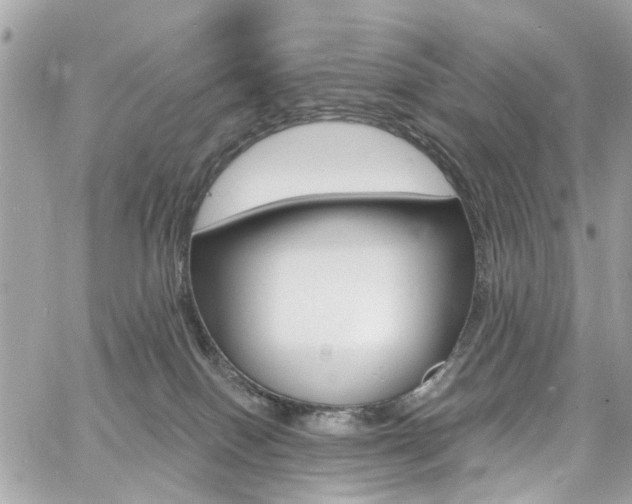 X0000060810086200511101047