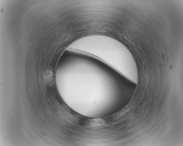 X0000060810087200511101047