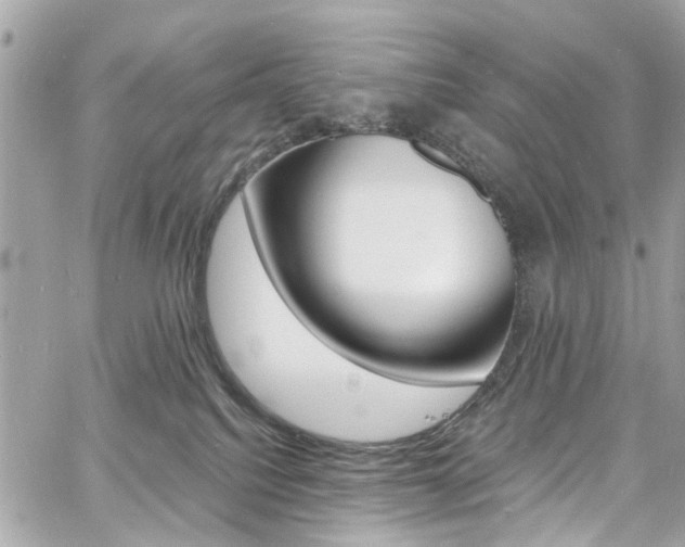 X0000060810088200511101047