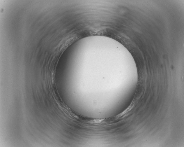 X0000060810090200511101047