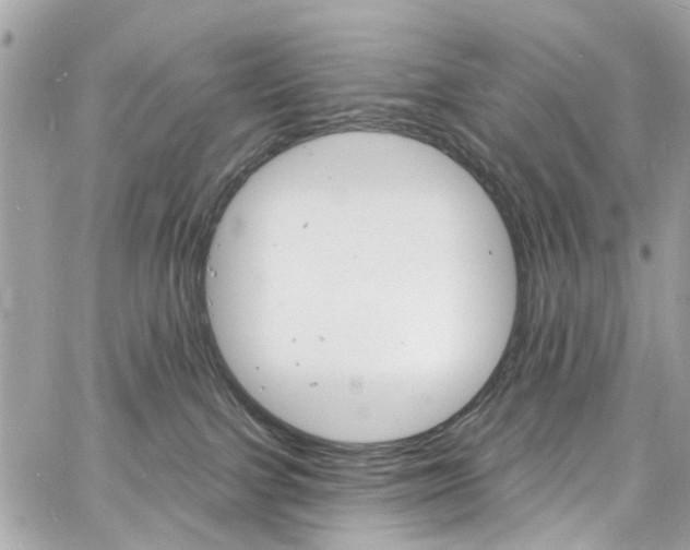 X0000060810091200511101047