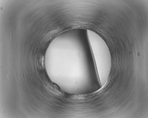 X0000060810094200511101047