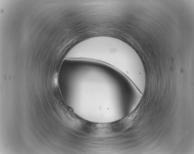 X0000060810095200511101047