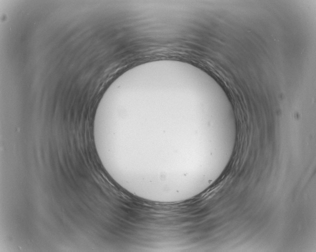 X0000060810096200511101047