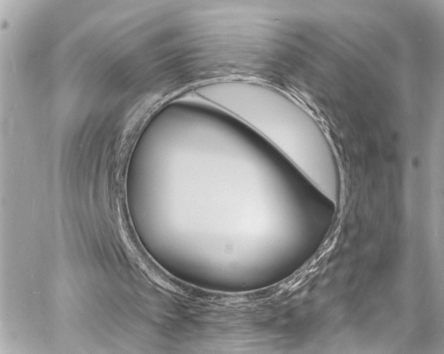 X0000060810097200511101046