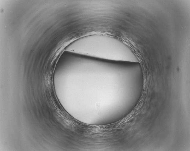 X0000060810098200511101046