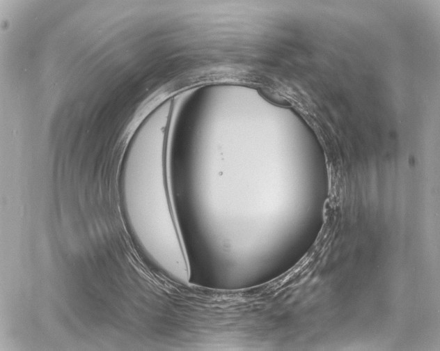 X0000060810099200511101046