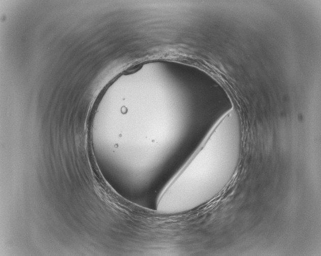 X0000060810100200511101046