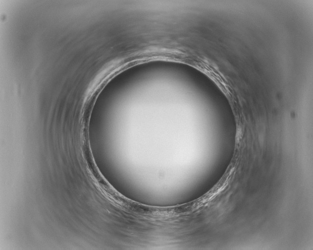 X0000060810101200511101046