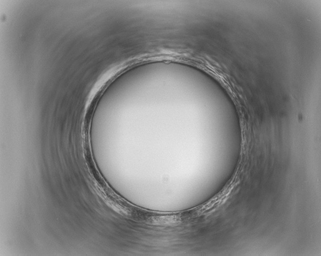 X0000060810102200511101046