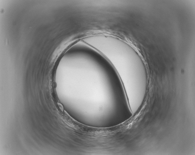 X0000060810103200511101046