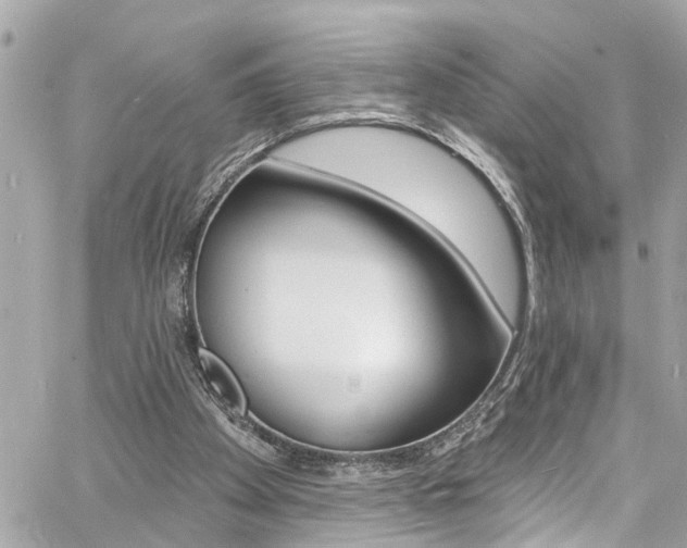 X0000060810105200511101046