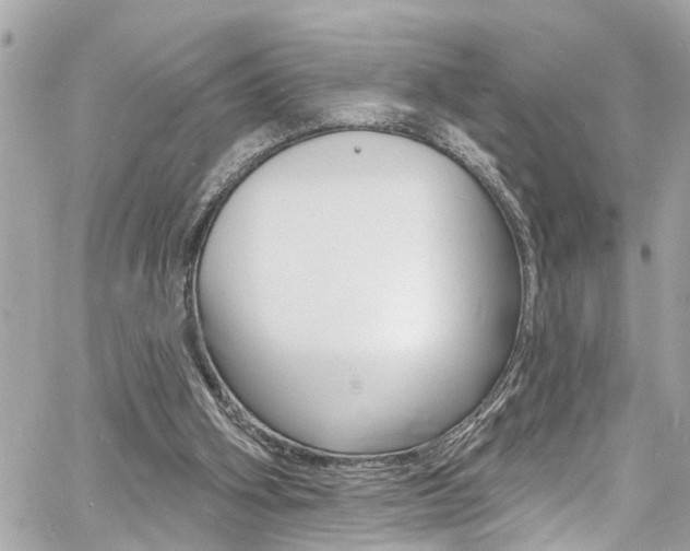 X0000060810106200511101046