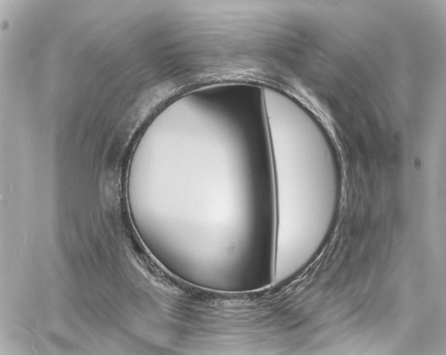 X0000060810107200511101046