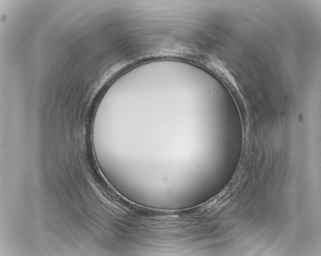 X0000060810108200511101046