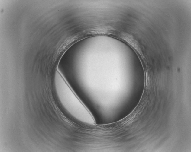 X0000060810109200511101046