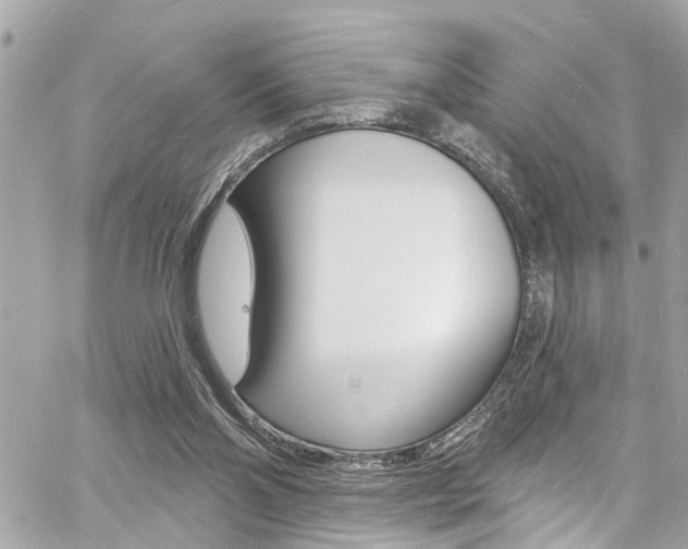 X0000060810110200511101046