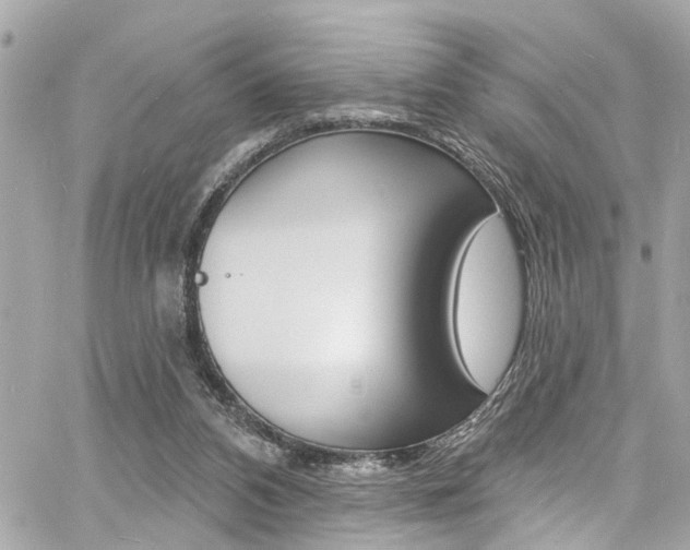 X0000060810112200511101046