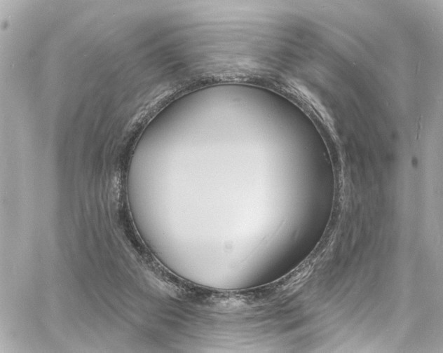 X0000060810113200511101046